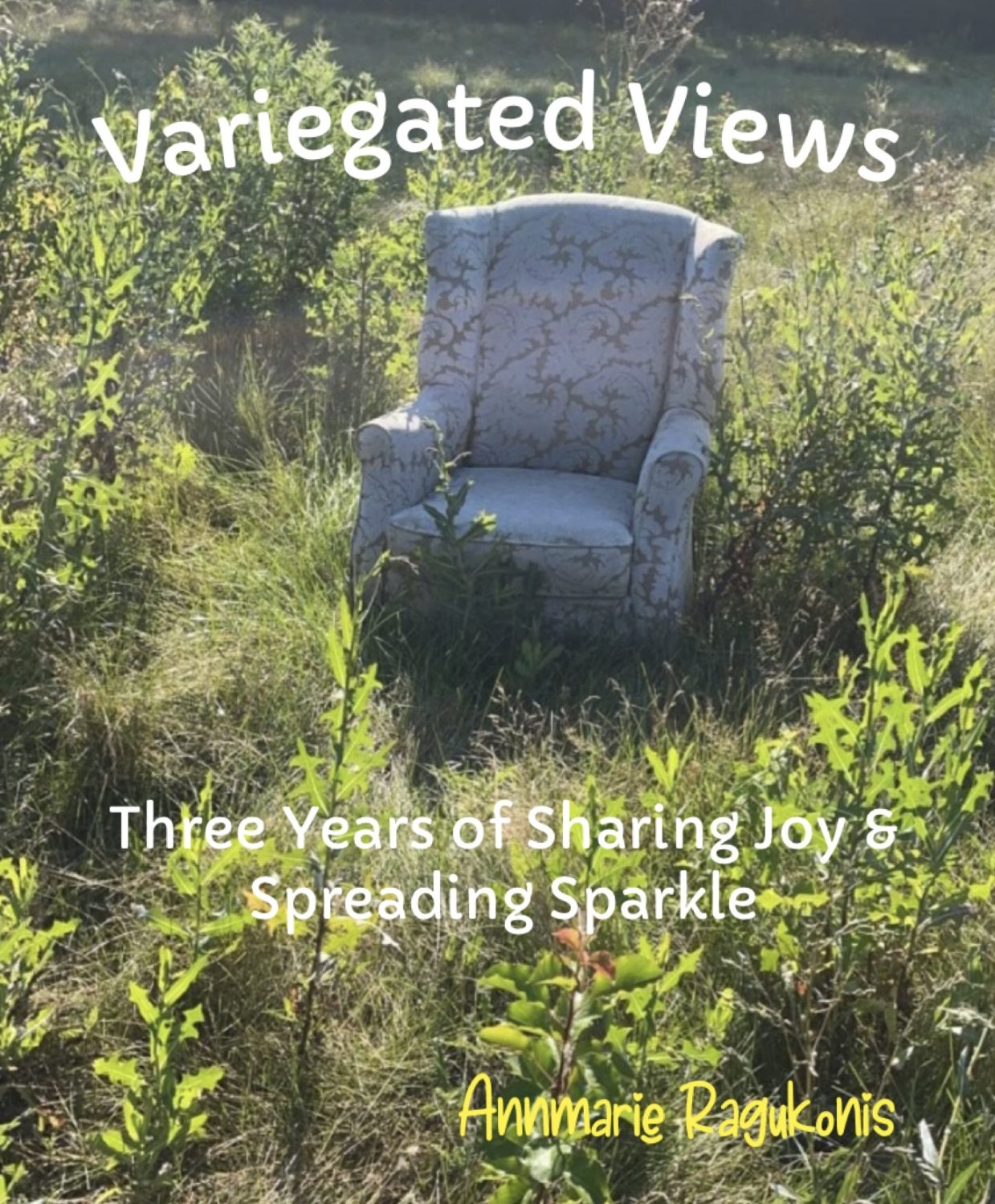 Cover image for Variegated Views